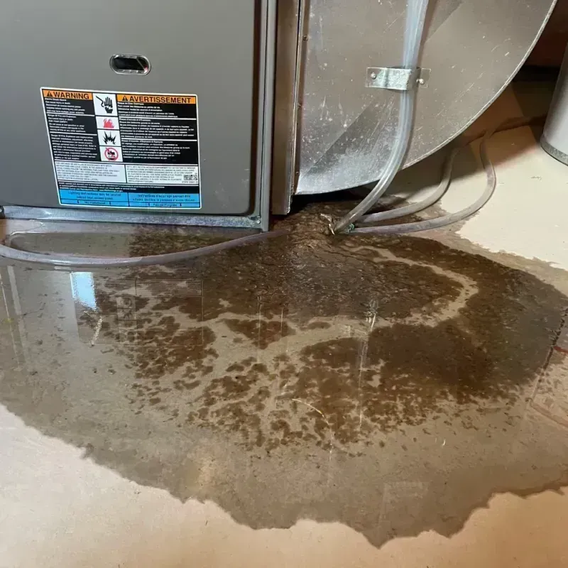 Appliance Leak Cleanup in Hurstbourne, KY